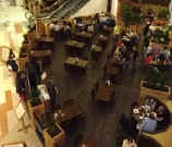 birds eye view