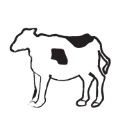 cow